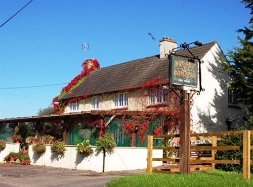 Hotel The Flying Fish Stables Ilminster Exteriér fotografie