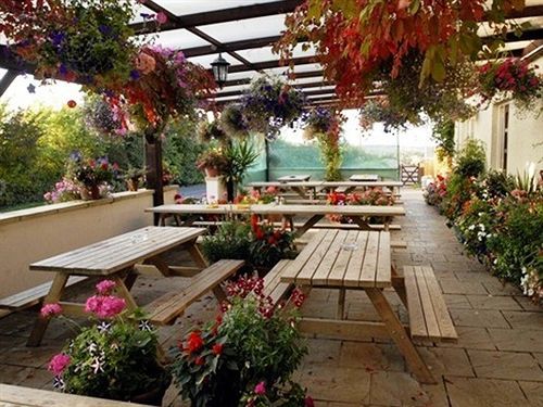 Hotel The Flying Fish Stables Ilminster Exteriér fotografie