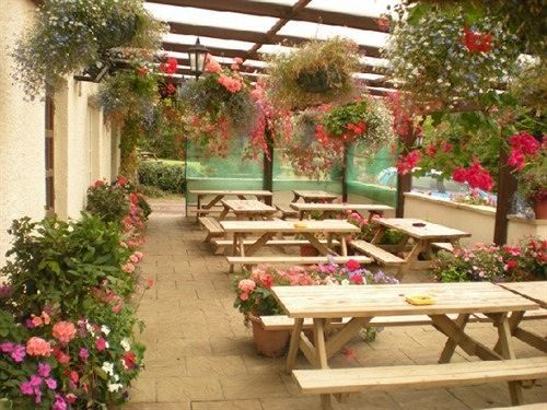 Hotel The Flying Fish Stables Ilminster Exteriér fotografie