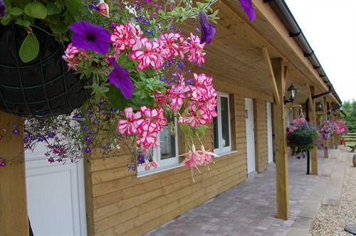 Hotel The Flying Fish Stables Ilminster Exteriér fotografie